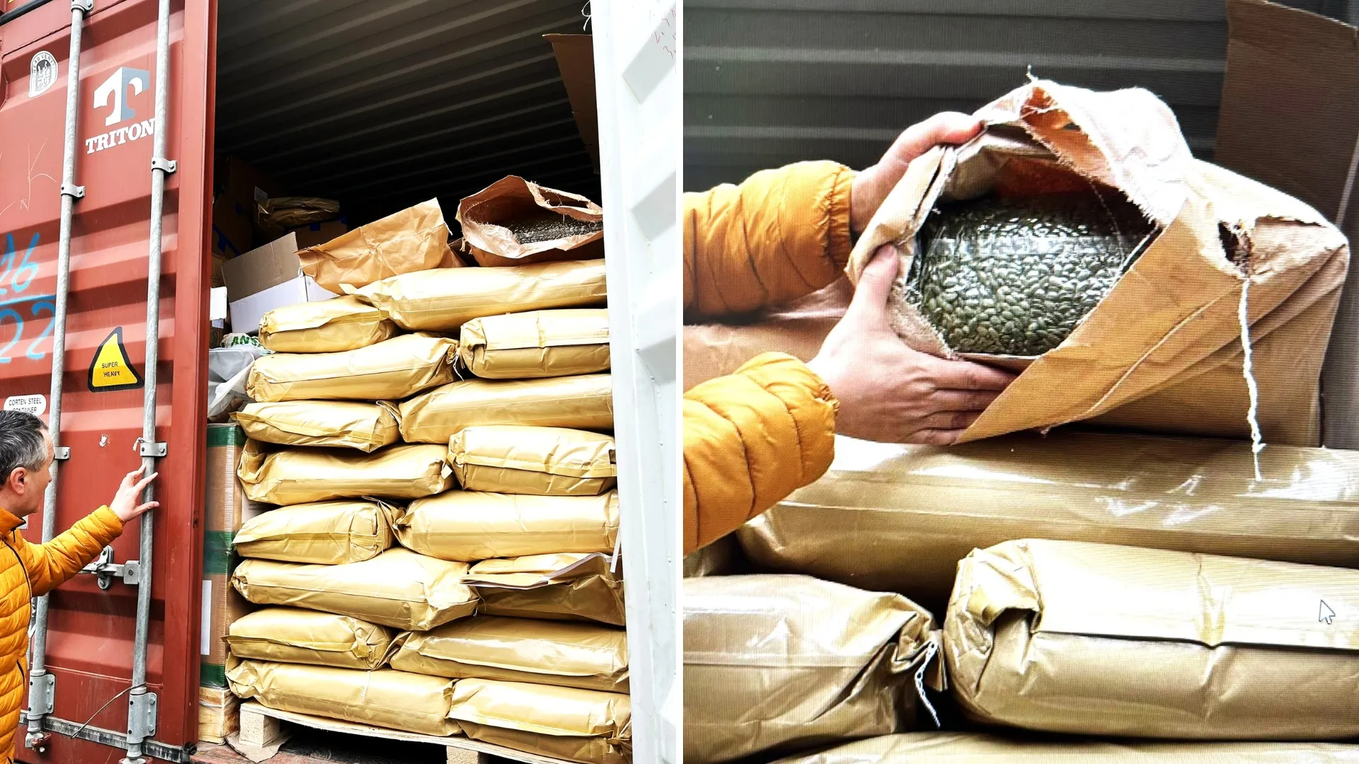 Tone de semințe de dovleac, oprite la frontieră: Aveau concentrație dublă de pesticide