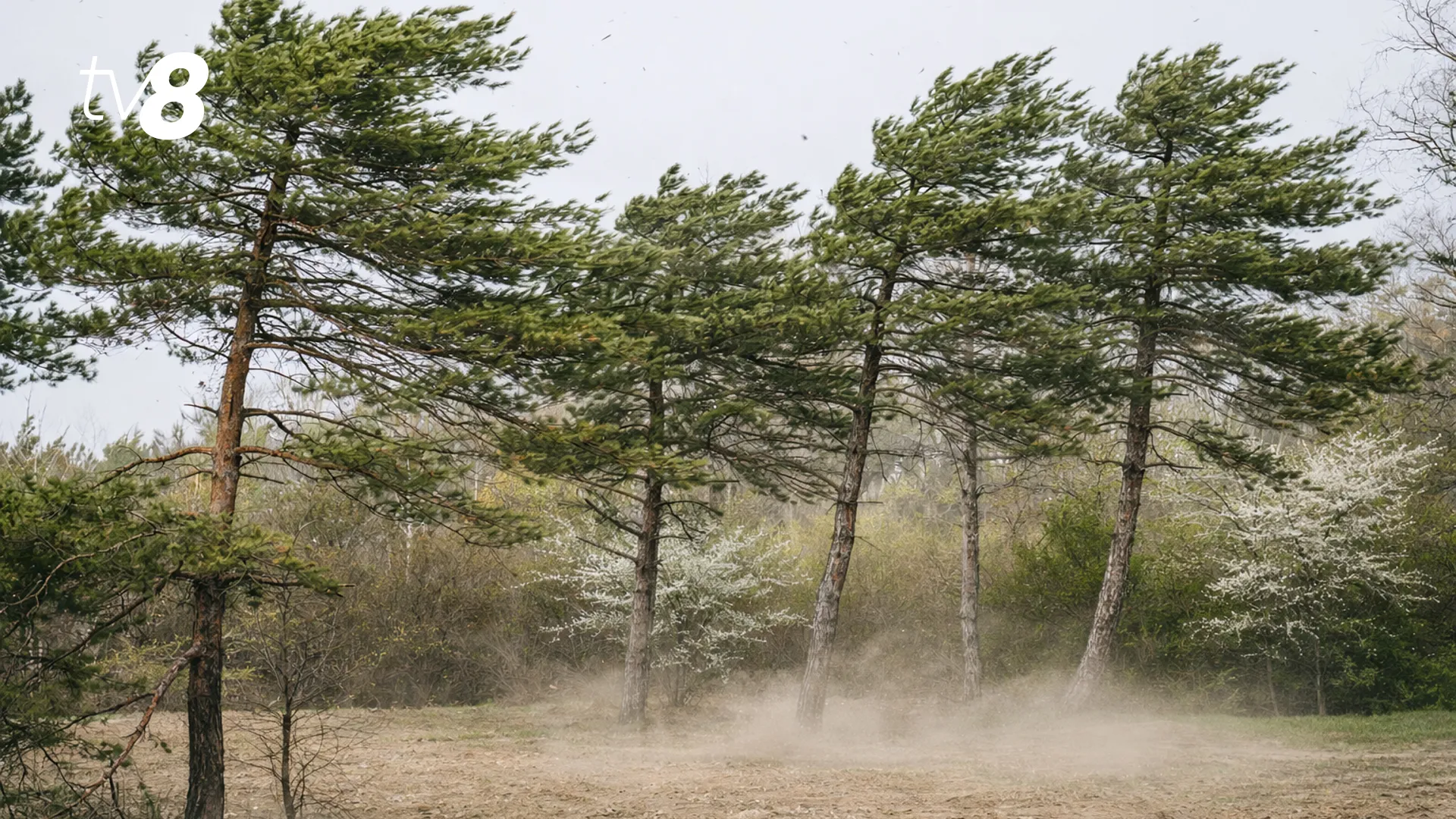 /HARTĂ/ Alertă de vânt puternic în toată Moldova: Perioada în care va fi valabil codul galben