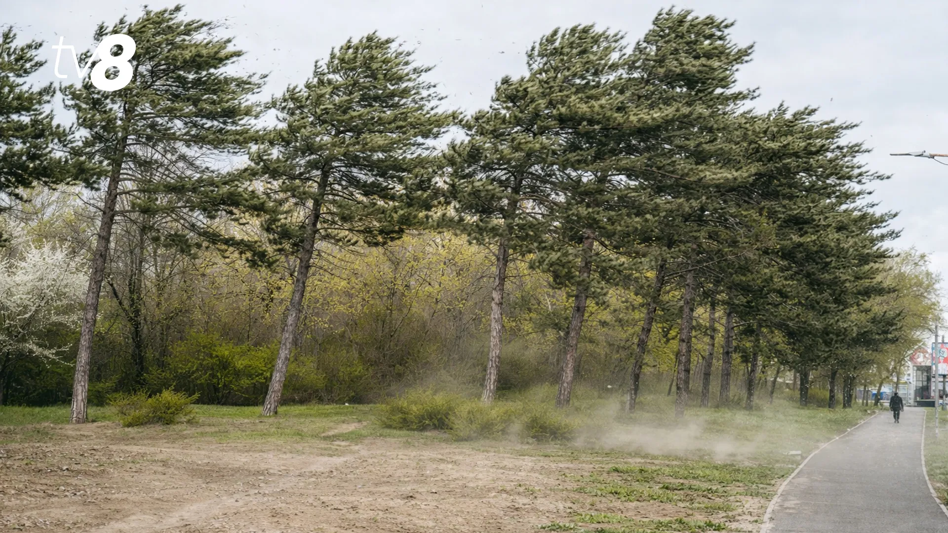 /METEO/ Vremea azi, 8 aprilie 2026: Ploi slabe și vânt puternic în toată Moldova. Temperaturile prognozate