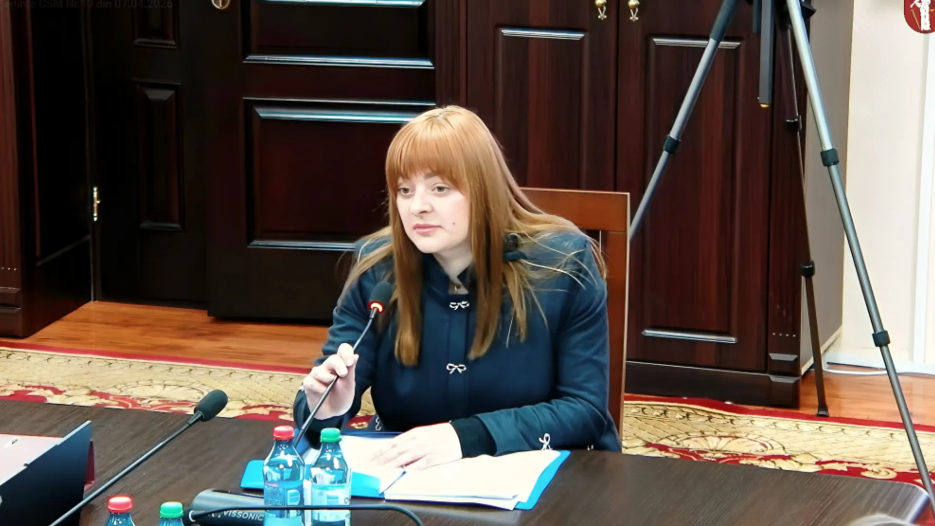 Judecătoarea Ana Cucerescu a trecut vettingul: Raportul Comisiei, aprobat de CSM fără întrebări și deliberări