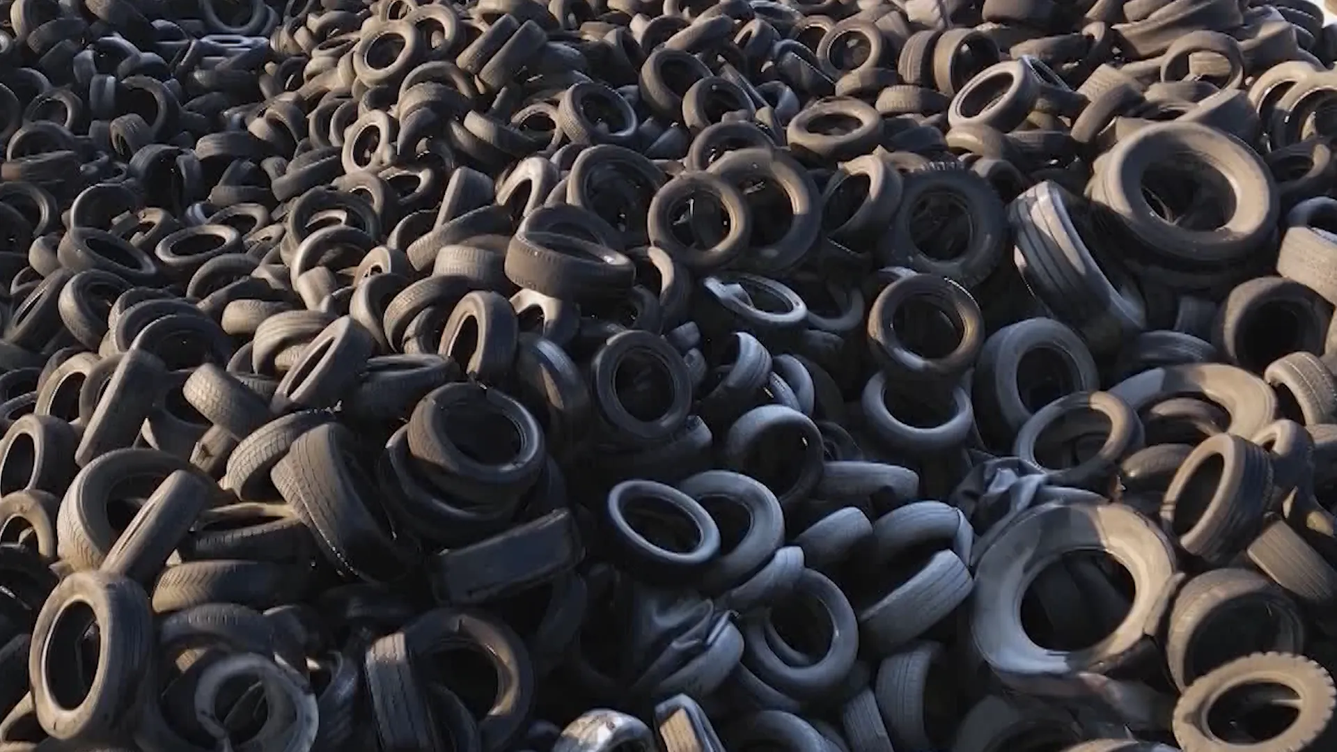 /VIDEO/ Rugul care costă 15.000 de lei: Inspectorii de mediu au anunțat razii în noaptea Învierii