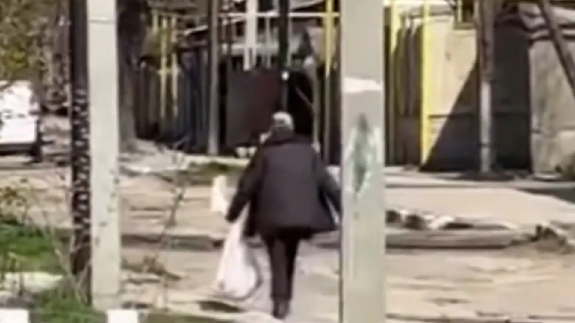 Cruzime filmată la Bălți: Ce riscă un bărbat care ar fi bătut o pisică până la moarte