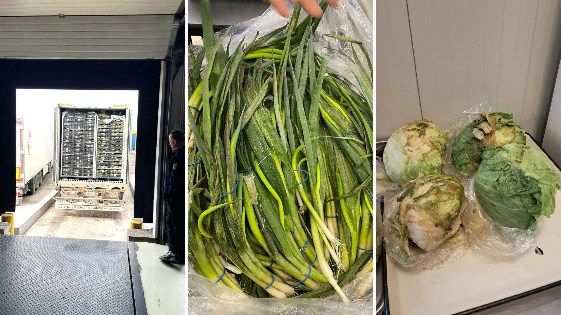 Marfă alterată la frontiera Moldovei: Peste 10 tone de verdeață au fost nimicite