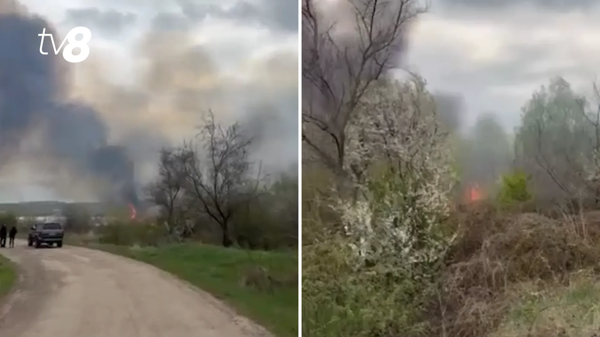 /VIDEO/ Incendiu de vegetație la Dănceni: Imagini de la fața locului