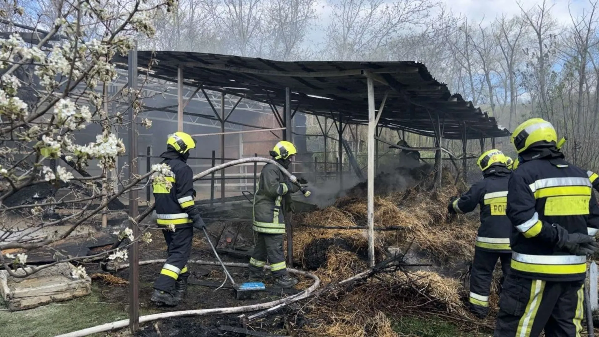 /VIDEO/ Mărturii după incendiul la hipodromul din Chișinău: „Proprietarul era șocat”