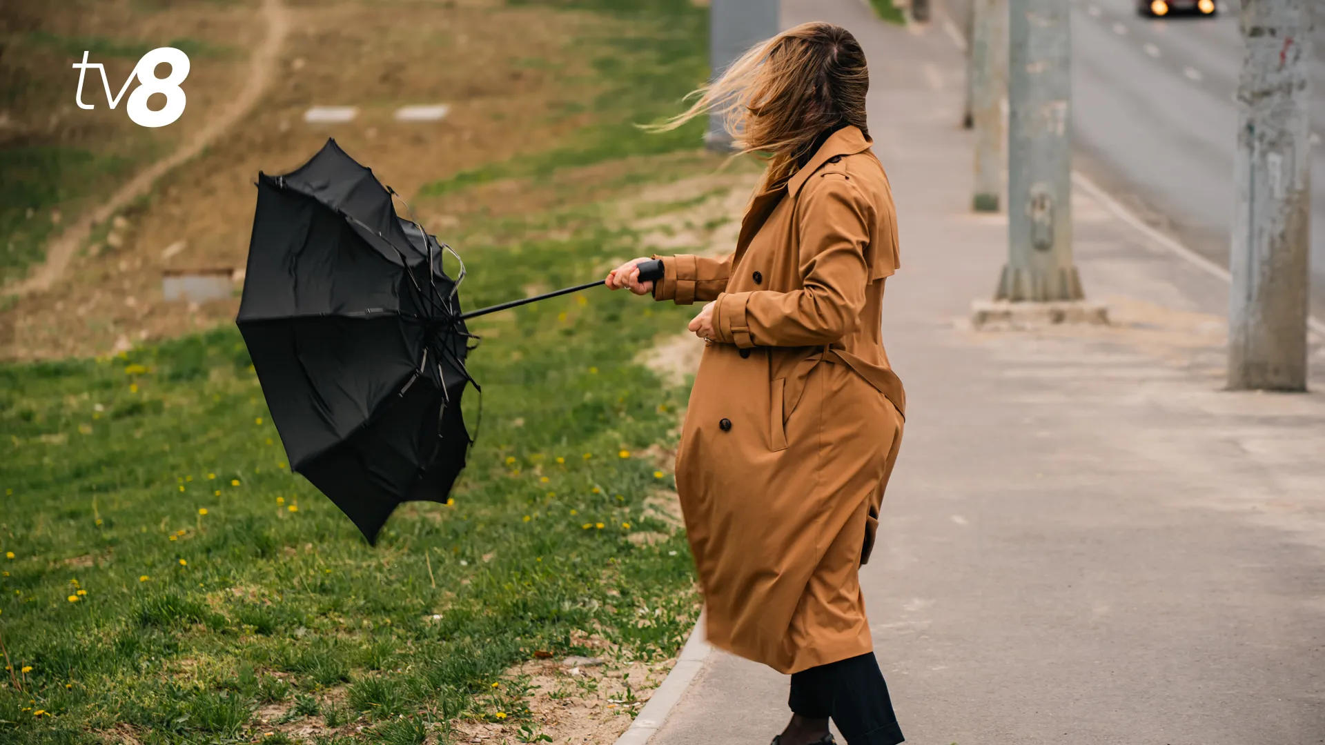 METEO VANT VINT FURTUNA-10