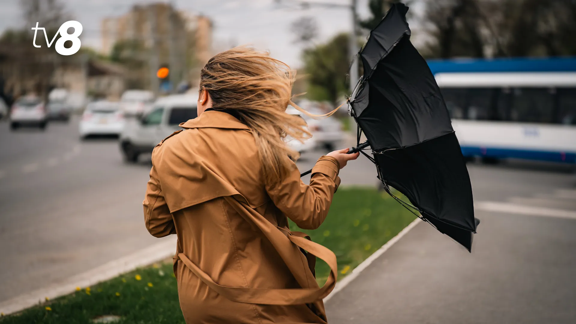 Alertă meteo: Cod portocaliu de vânt puternic în toată Moldova. Perioada vizată