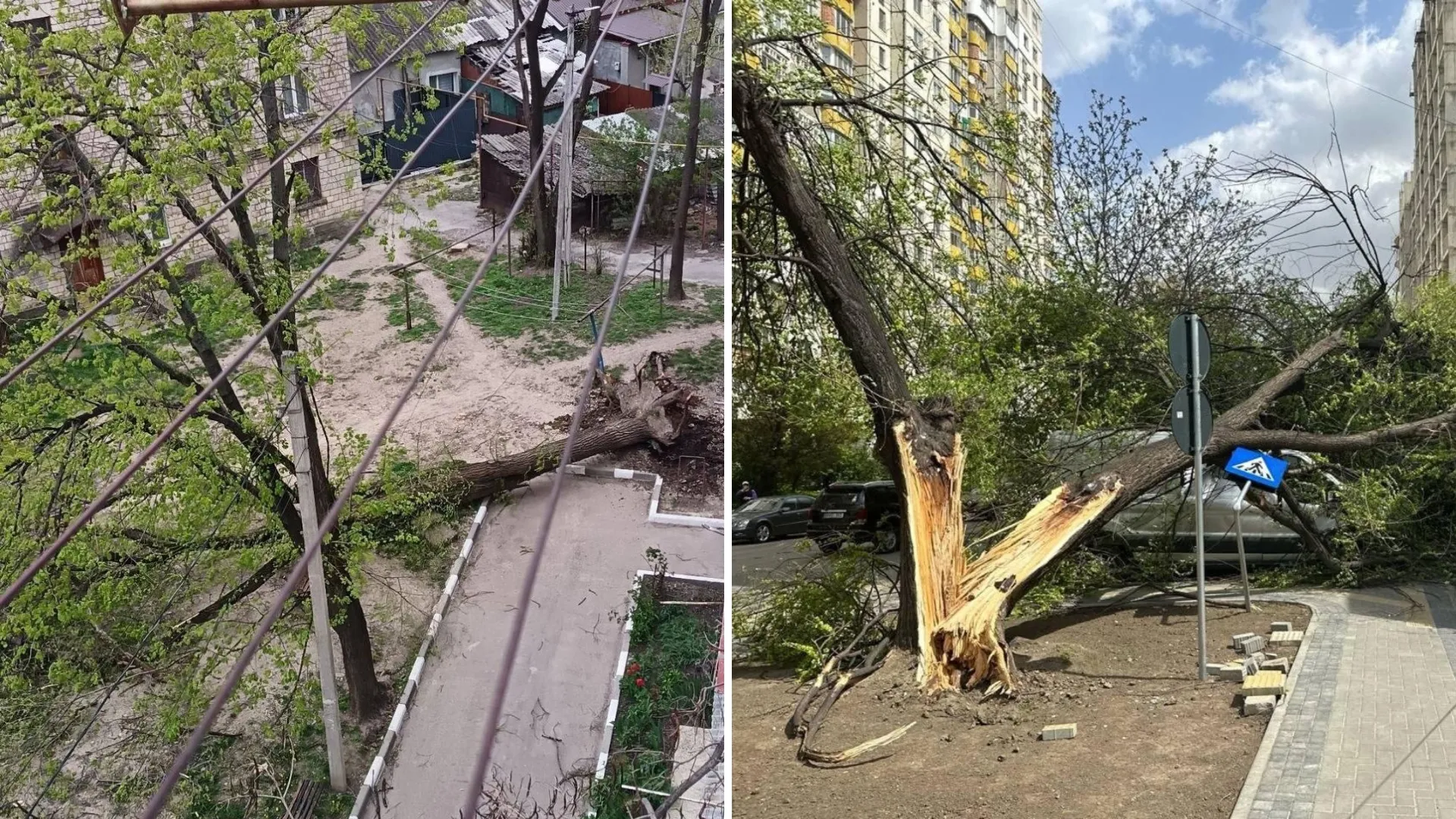 /VIDEO/ Cod portocaliu de vânt puternic în Moldova: Nori de praf deasupra Chișinăului și copaci căzuți