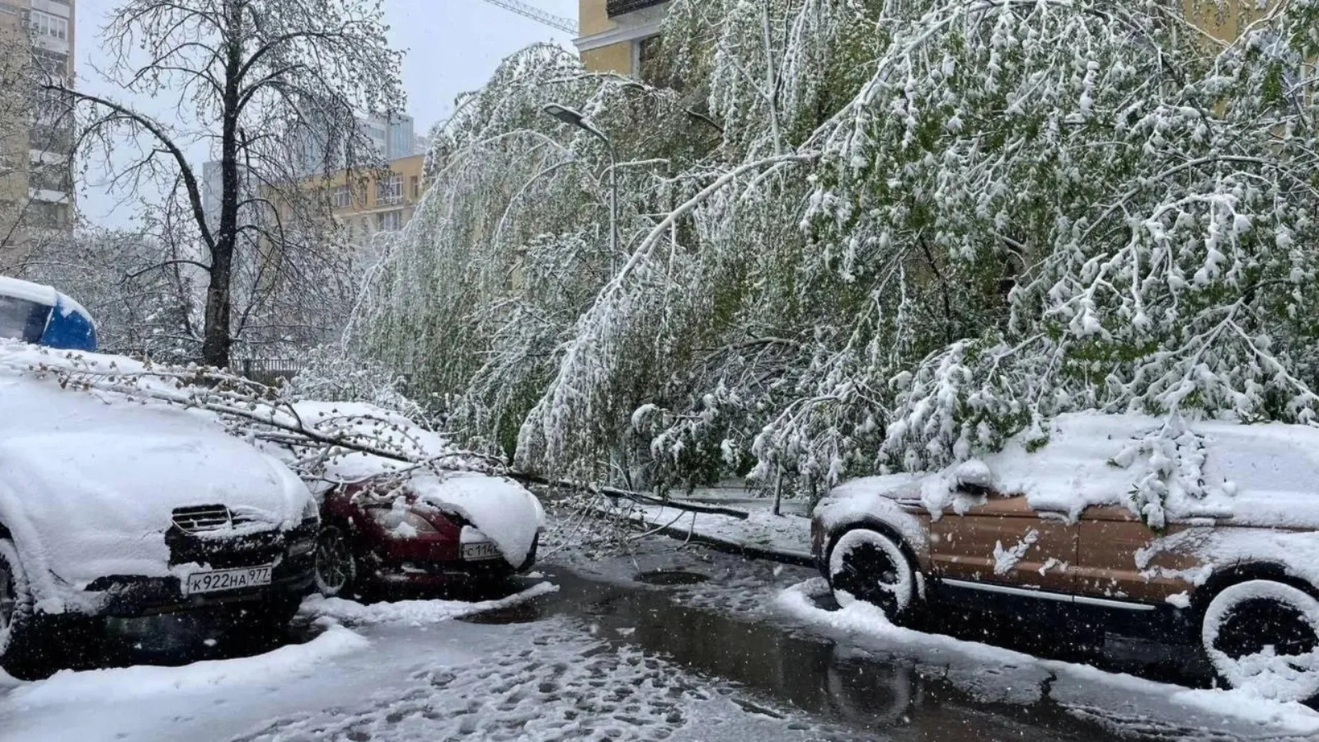 /VIDEO/ Moscova, sub cod portocaliu de ninsori: Vânt puternic și zboruri date peste cap