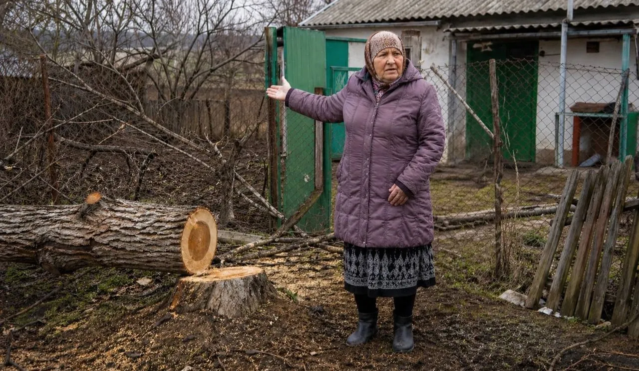 Conflict din cauza unui nuc, la Rîbnița. O femeie a depus plângere după ce pomul a fost tăiat