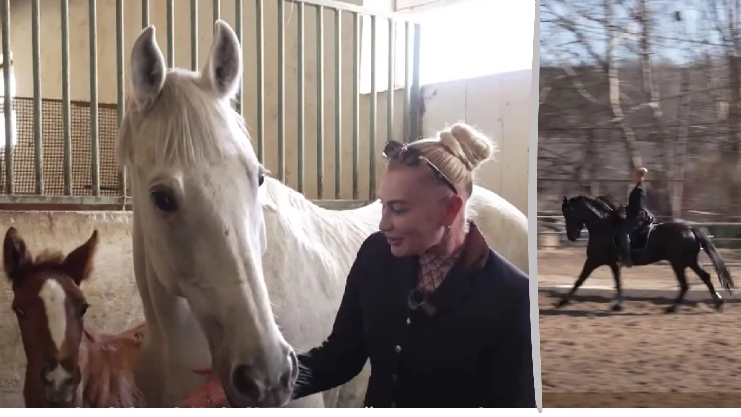 /VIDEO/ Hipismul, mai mult decât un sport: Oxana Darii și lecțiile de viață din șaua calului