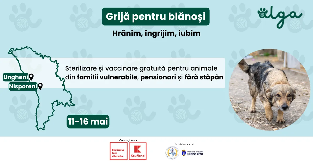 Alga lansează campania de sterilizare și vaccinare gratuită pentru animale din Nisporeni și Ungheni între 11-16 mai