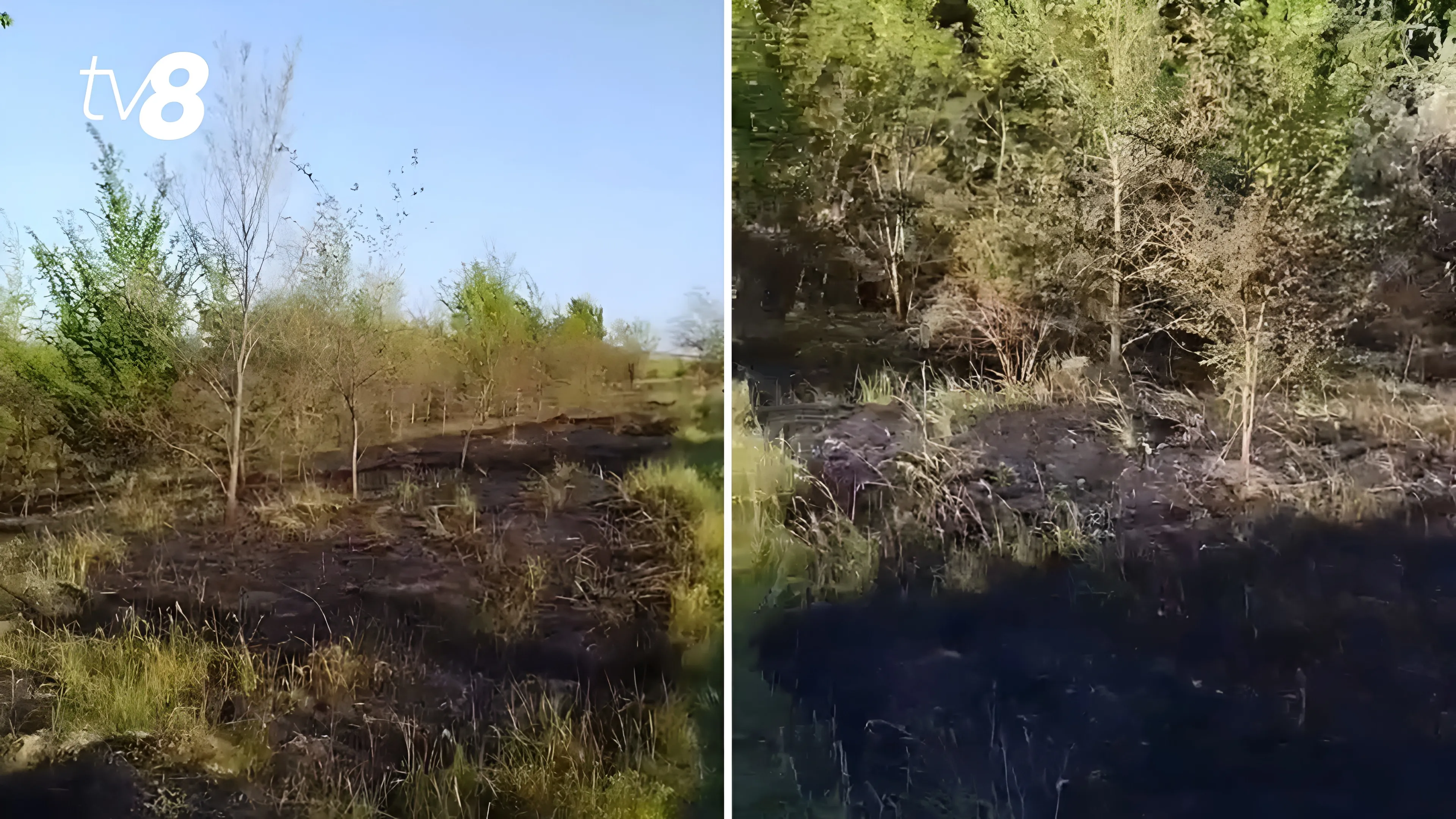 /VIDEO/ Imagini după incendiul de vegetație de lângă Aeroportul Chișinău: Pompierii au luptat cu focul mai multe ore