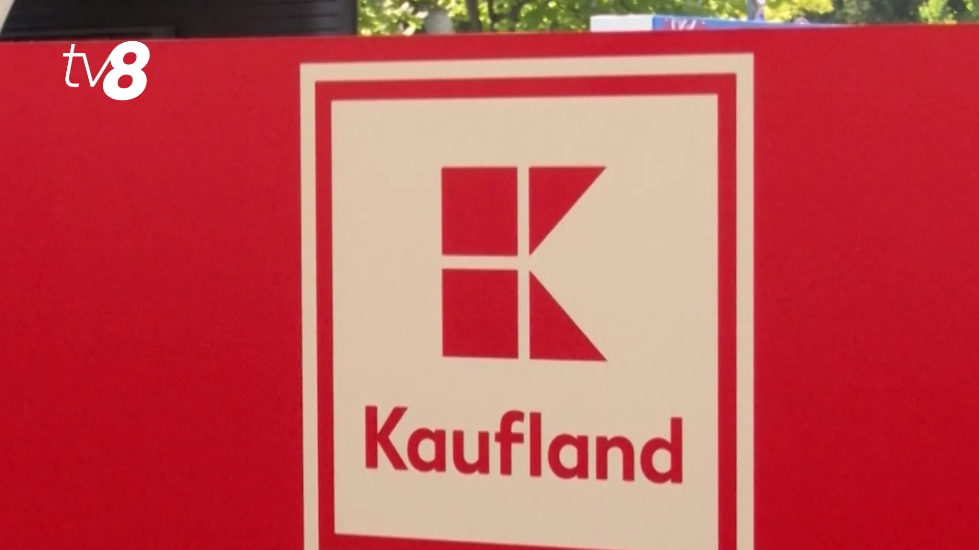 /VIDEO/ Șansa care poate schimba un viitor: Kaufland, alături de tinerii cu autism /P/