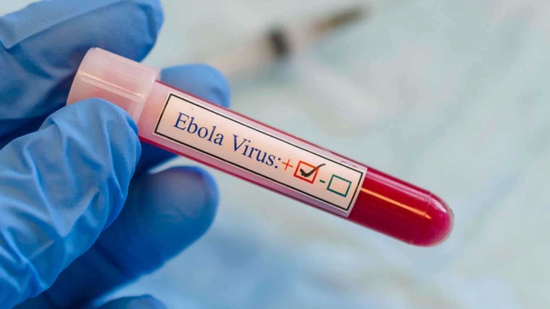 Care este riscul răspândirii virusului ebola în Europa? „Ştim că bolile nu se opresc la graniţe”
