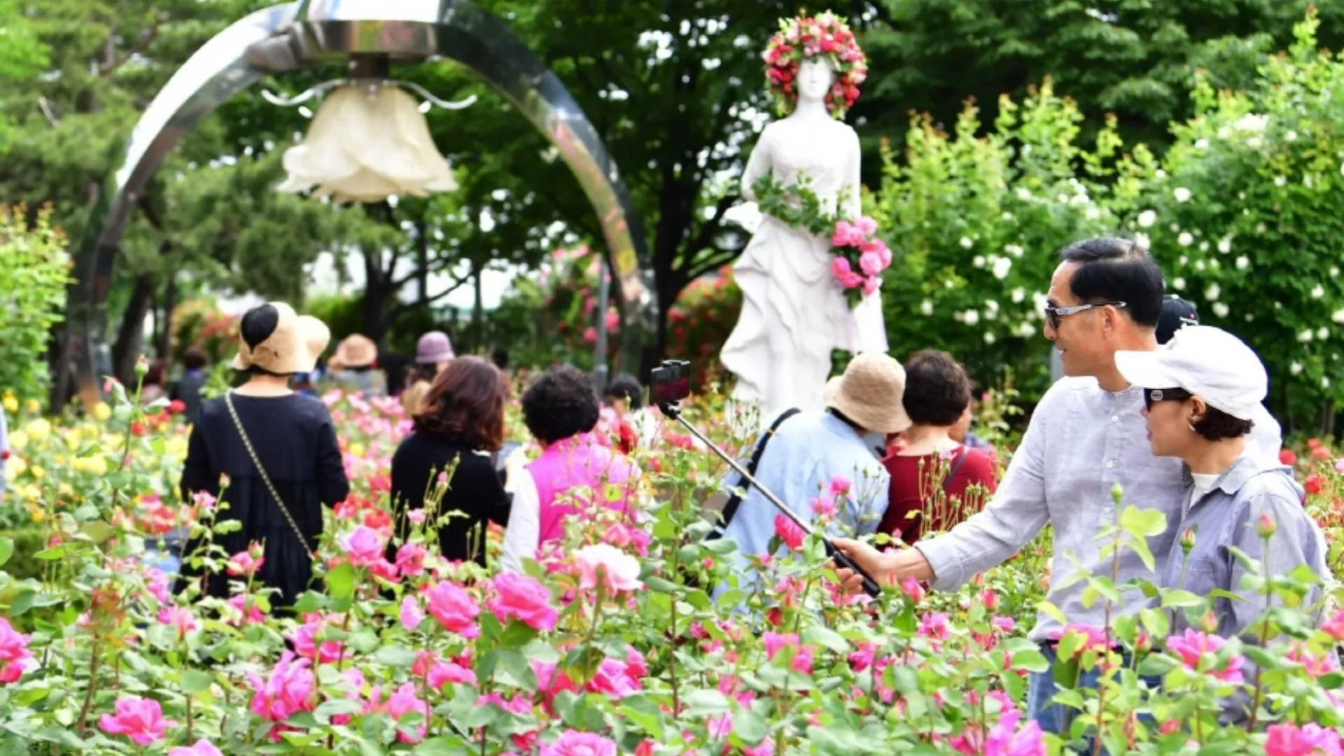 Festivalul trandafirilor a început la Seoul Grand Park: 45.000 de flori și decor „Alice în Țara Minunilor”