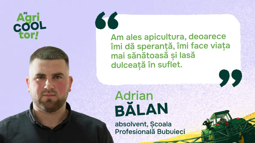 Tinerii din Moldova transformă apicultura într-o oportunitate de dezvoltare și investiție în viitor /P/