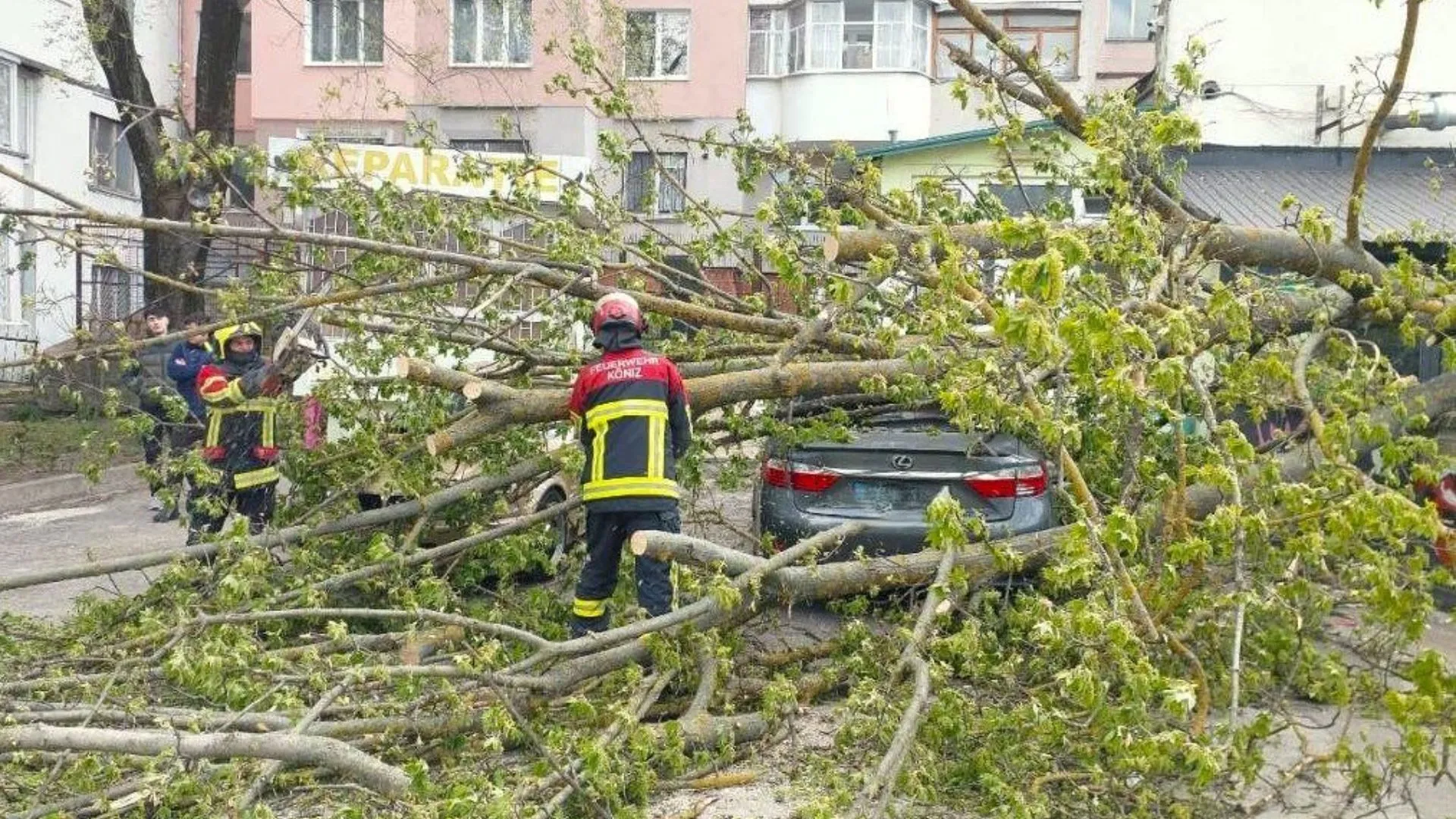 Copaci doborâți și risc de explozie la Chișinău: Consecințele ploilor din 2 iunie 2026 în Moldova