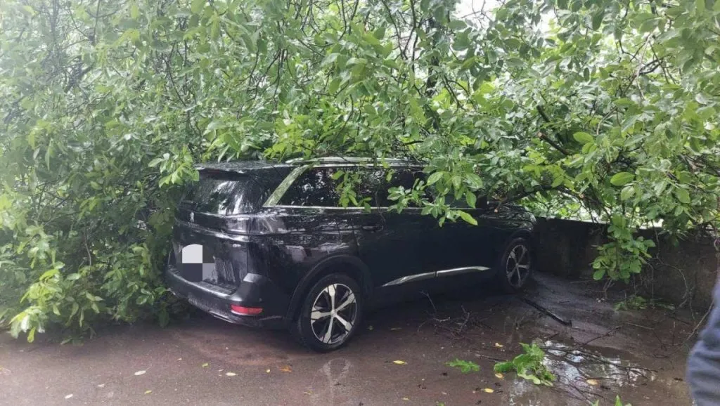 /FOTO/ Furtuna face ravagii și la Bălți: Un copac a căzut peste un pieton