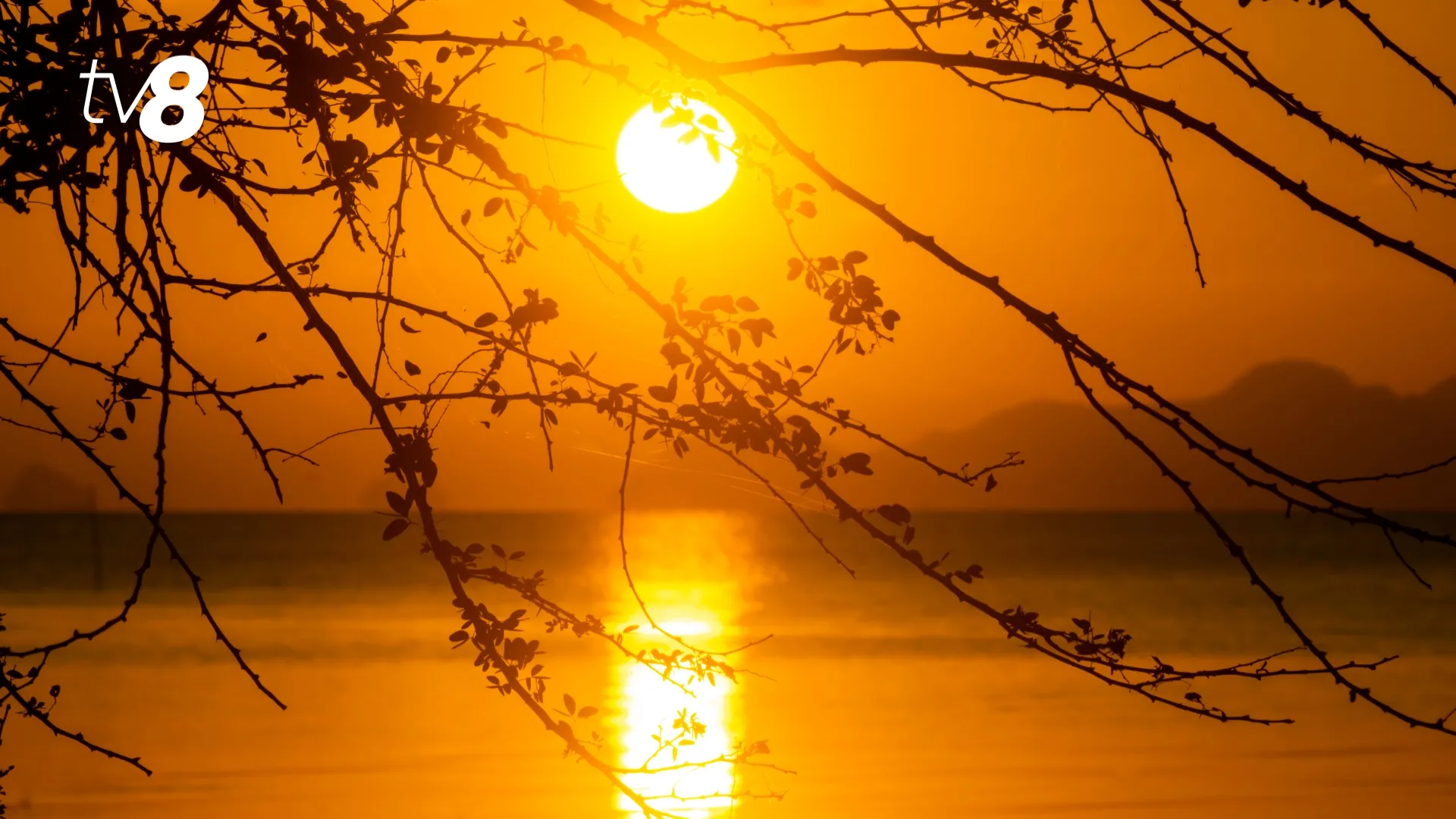 /METEO/ Vremea azi, 30 iunie 2026: Cer senin și temperaturi peste +40 de grade Celsius