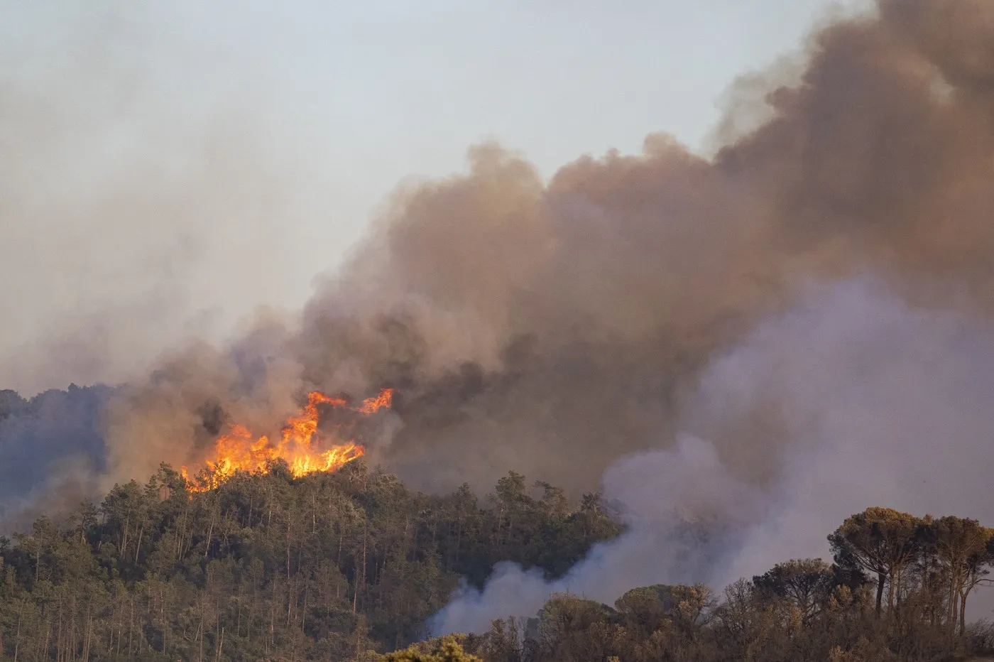 Incendiu de proporții în Catalonia. Un bărbat, reținut de autorități pentru că ar fi provocat focul