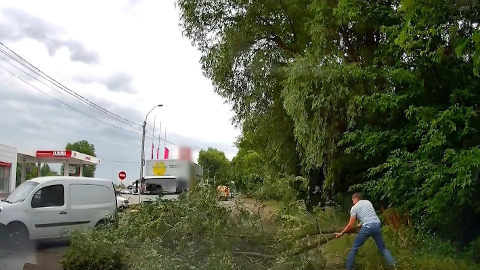 /VIDEO/ Sperietură pentru un șofer din Chișinău: Momentul în care o creangă uriașă cade în fața mașinii sale