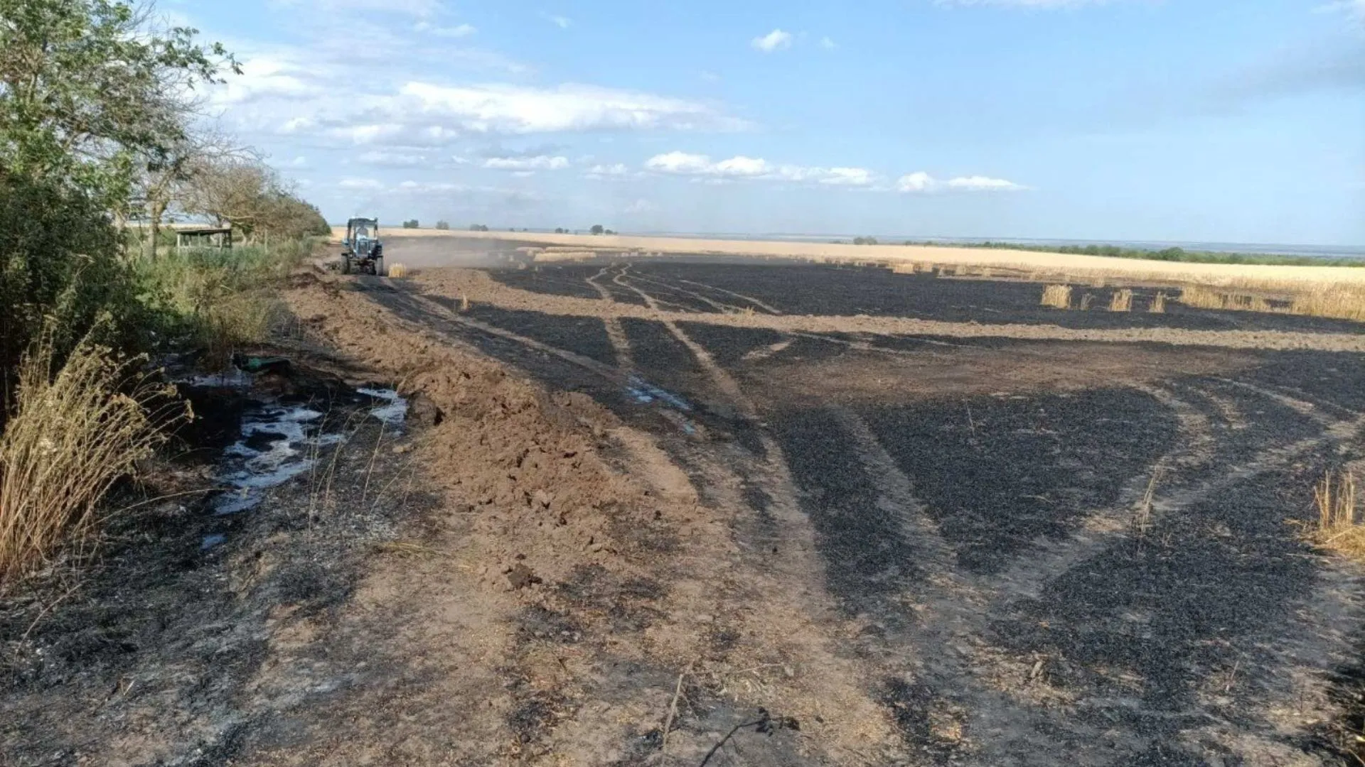 /VIDEO/ Incendiu de proporții la Ștefan Vodă: 7 hectare de grâu, distruse de flăcări