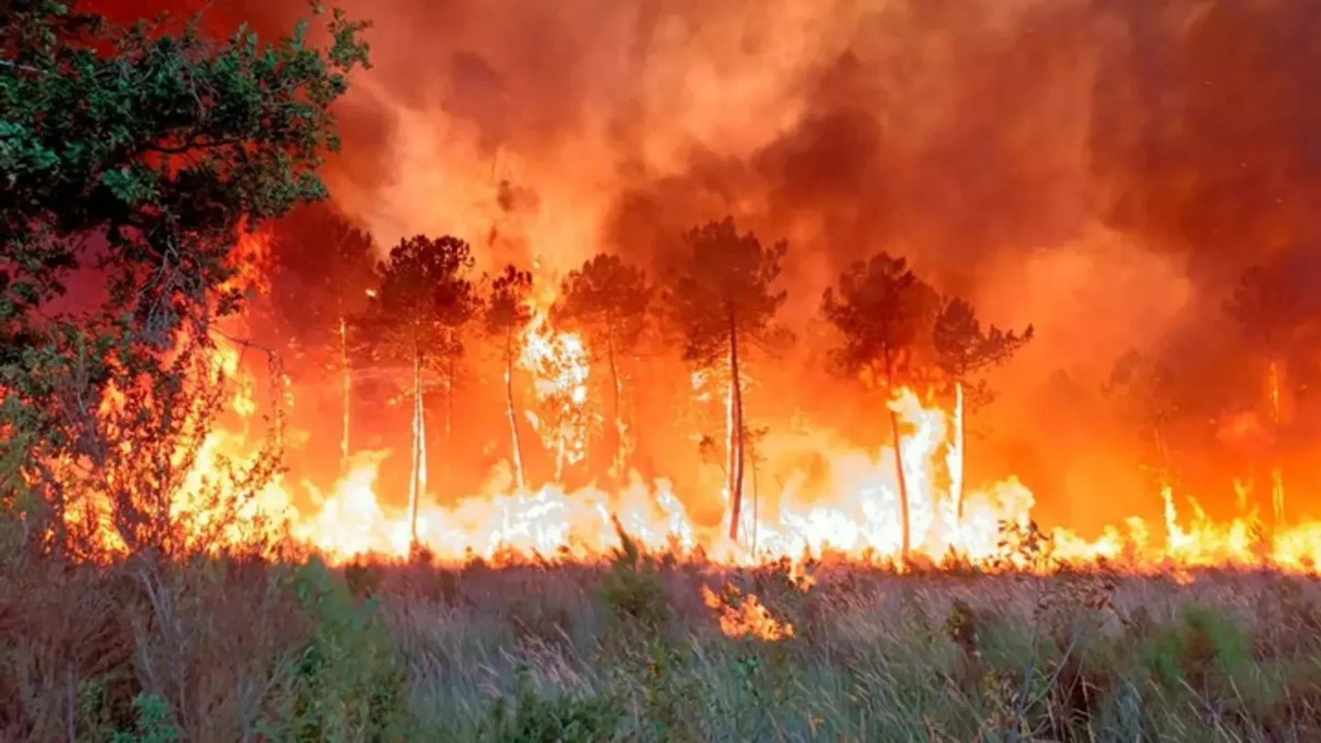 /VIDEO/ „Foarte dureros”: Spania arde ca o torță. Mii de oameni, evacuați din calea flăcărilor