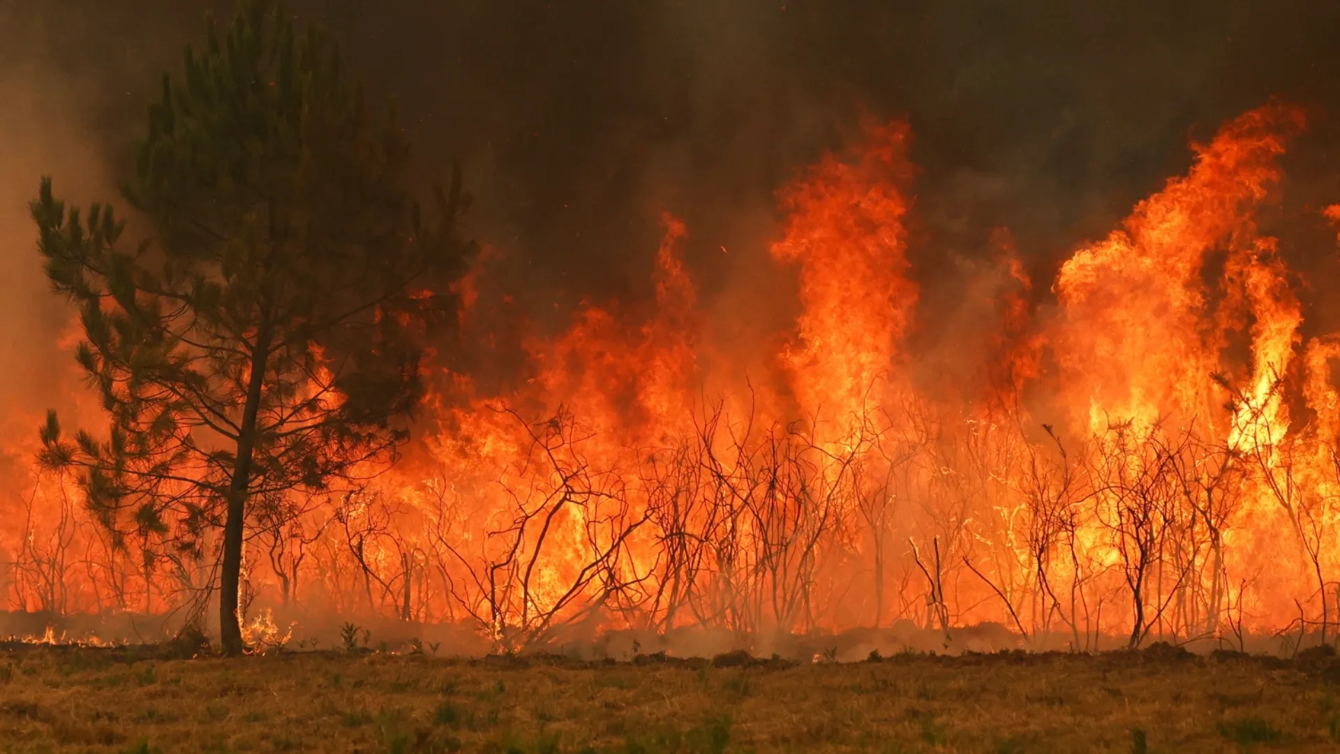 /VIDEO/ Situație critică în Franța și Spania: Incendiile înaintează, iar canicula revine