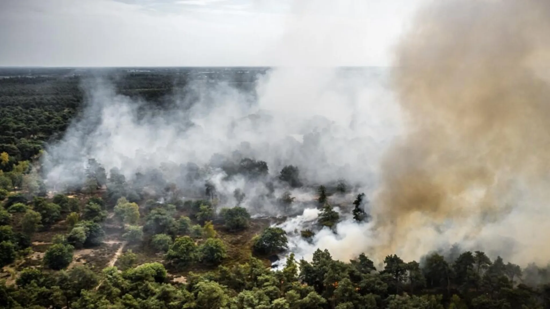 /VIDEO/ Flăcările au ajuns și în nordul Europei: Incendiu uriaș într-o rezervație din Olanda