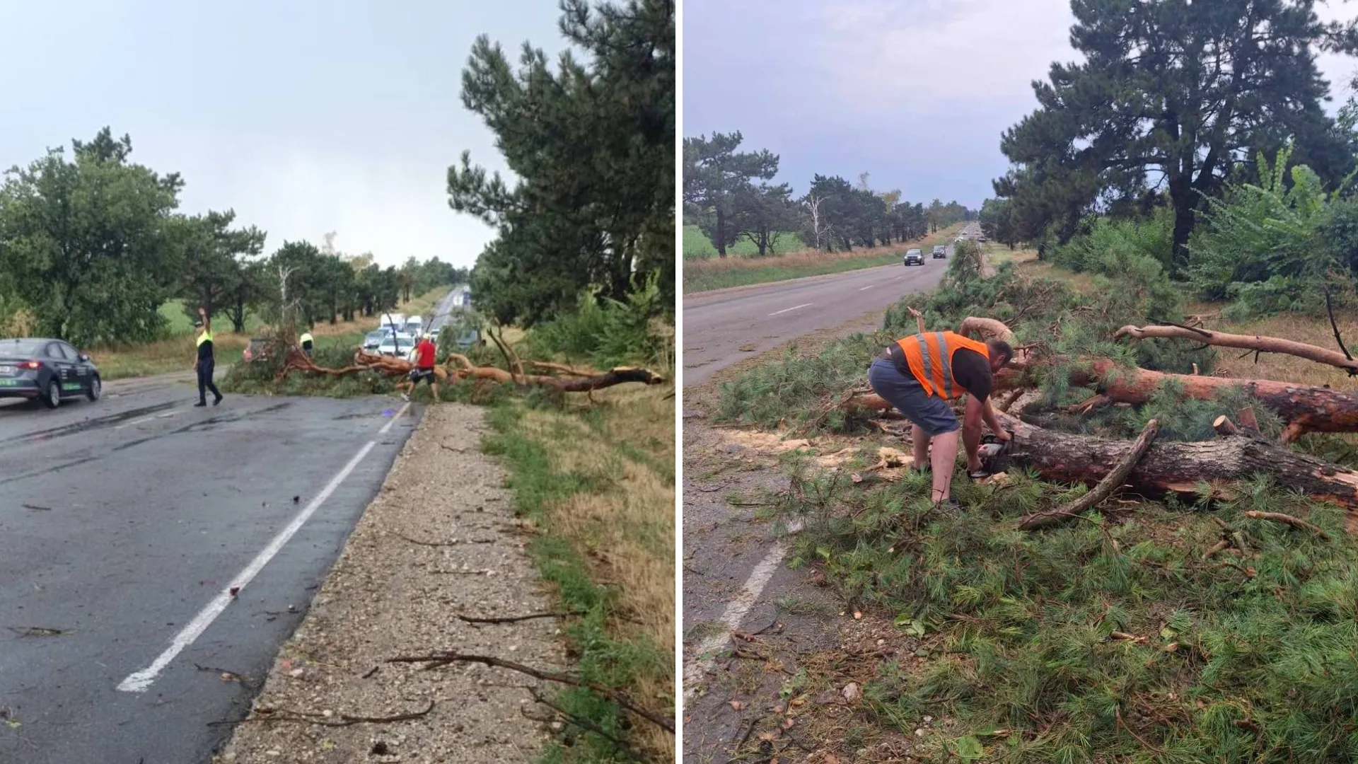 /VIDEO/ În plină caniculă, ploile au făcut ravagii: Arbori doborâți și drumuri blocate în nordul țării