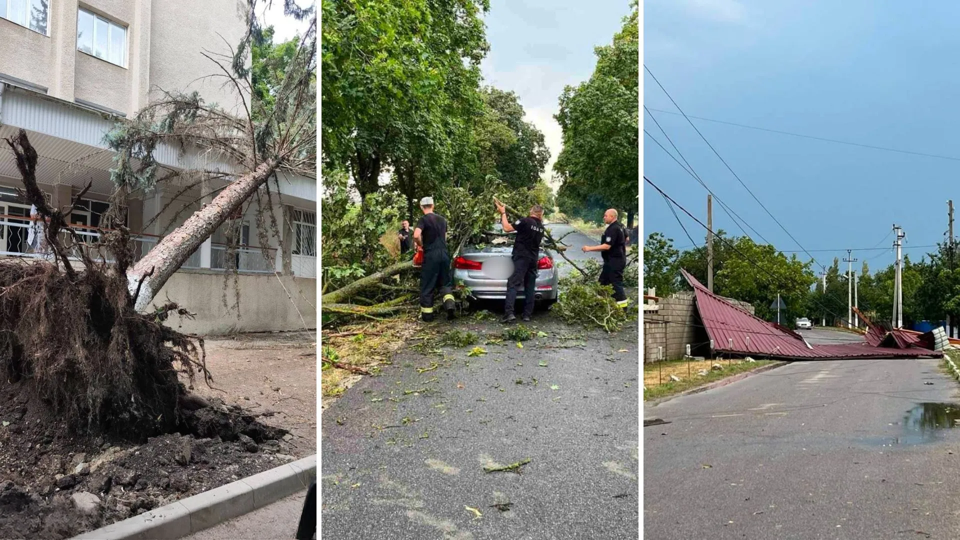 Furtuna a făcut ravagii în nordul și centrul Moldovei: Copaci doborâți, acoperișuri smulse și drumuri blocate