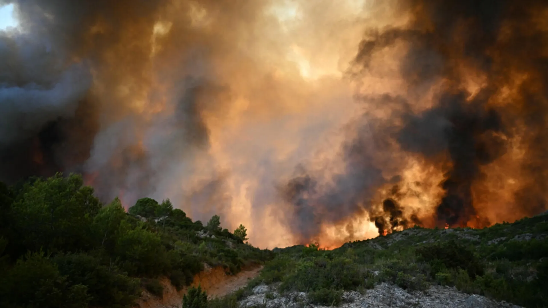 /VIDEO/ Incendiile de vegetație amenință vinul francez: Strugurii riscă să prindă gust de fum