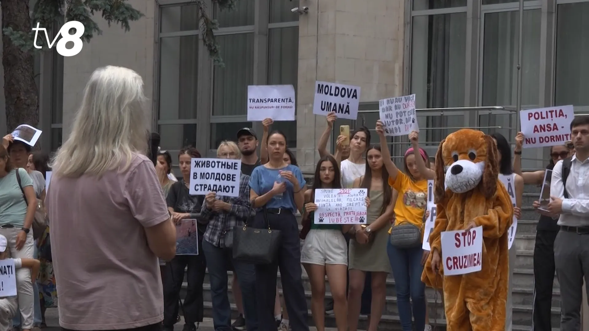 /VIDEO/ „Ele nu pot cere ajutor”: Protest la Chișinău împotriva cruzimii față de animale