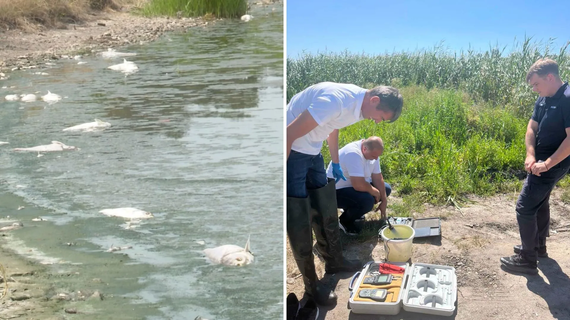 Sute de pești morți descoperiți în lacul din Dănceni: Apa, supusă analizelor de laborator