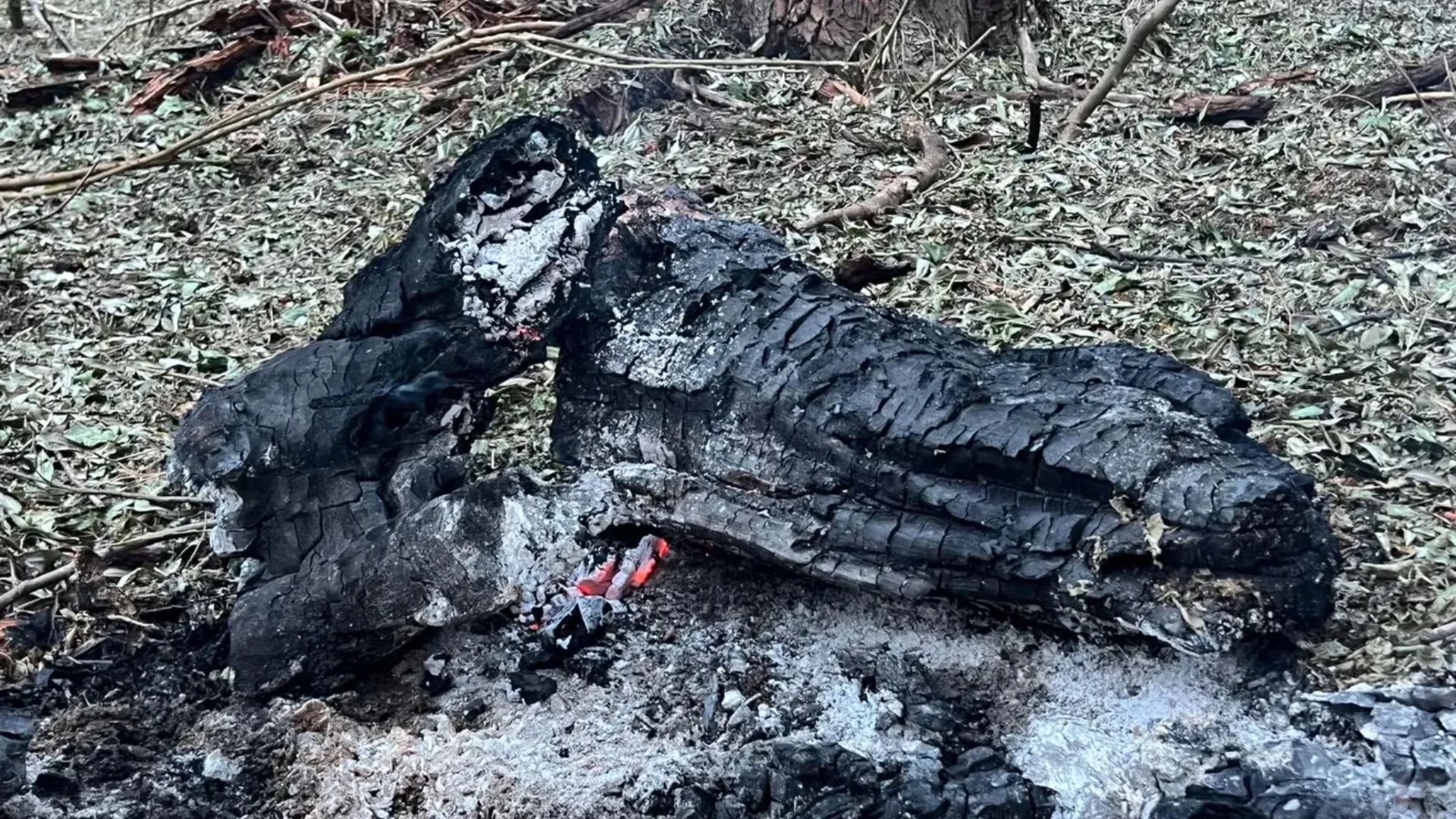A treia dronă găsită într-o singură zi în România: Un nou caz, în județul Tulcea