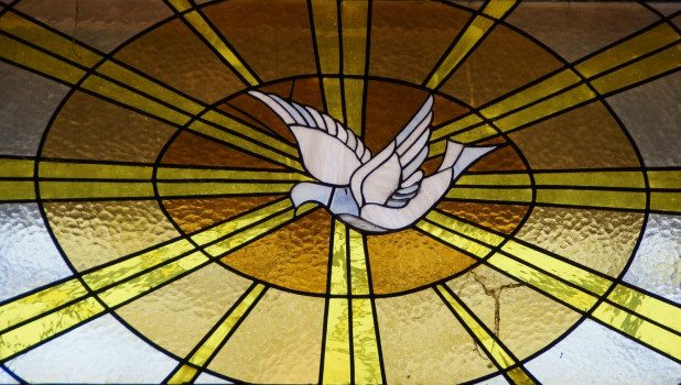 фото: из открытых источников