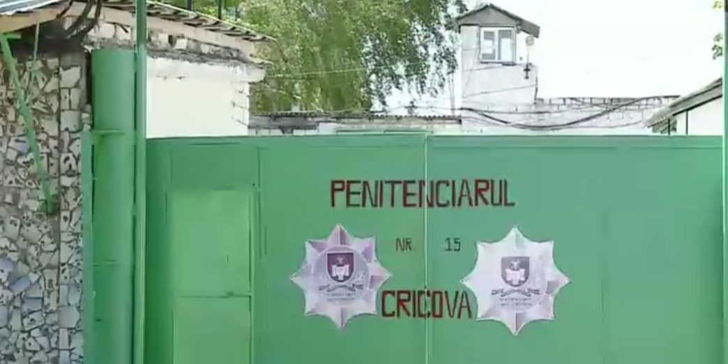 cricova