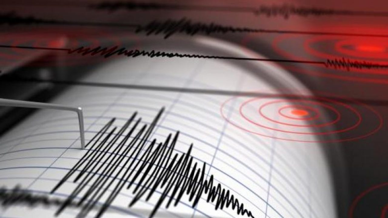 /VIDEO/ Il terremoto notturno in Italia, ripreso da una telecamera di sorveglianza: la gente è scesa in strada spaventata